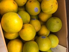 -叶氏兄弟(大连奥特莱斯店)