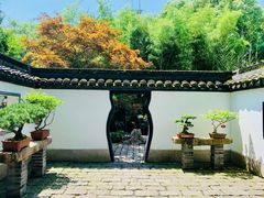 -上海醉白池公园