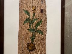 -北京中医药大学-中医药博物馆