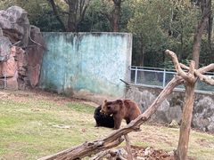 -无锡动物园·太湖欢乐园
