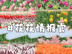 -国家植物园