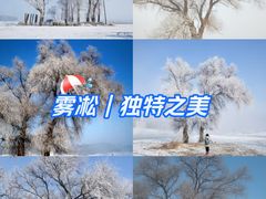 -雾凇岛