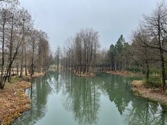 -西溪国家湿地公园