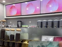 -雾与山茶(大禹城店)