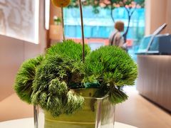 -蓉小乔·RONG COFFEE(春熙路店)