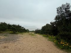 -普陀山风景名胜区-千步大沙