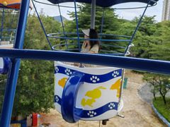 -史努比缤纷世界