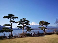 -富士山吉田線五合目