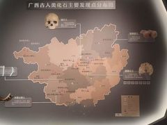 -广西壮族自治区博物馆