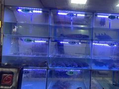 -忘情水鱼头·鲜鱼火锅(滨江中路店)
