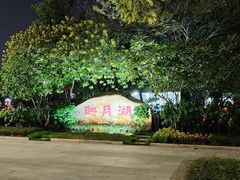 -映月湖公园
