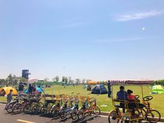 -春花秋色城市公园