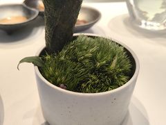 -京兆尹(雍和宫店)