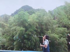 -宁波五龙潭景区