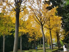 -苏州河梦清园环保主题公园