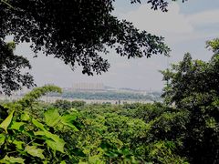 -张坝桂圆林公园