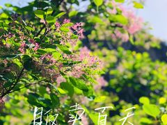 -周口店坡峰岭风景区