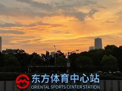 -东方体育中心(地铁站)