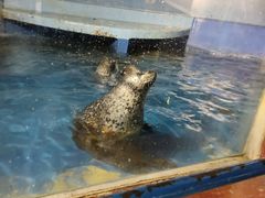 -太平洋海底世界