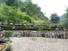 -靖西鹅泉风景区
