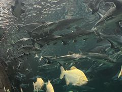 -波塞冬海底世界