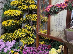 -杭州植物园