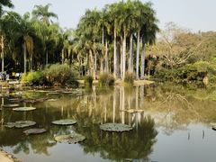 -中国科学院西双版纳热带植物园