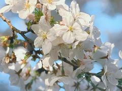 -龙美术馆西岸馆-停车场