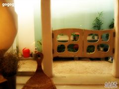 -Babycat私家御饼屋(龙头路一店)