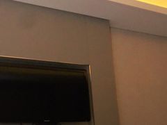 -成都明宇丽雅饭店