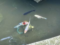 -珠海叠泉山庄