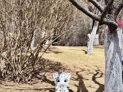 -青藏高原野生动物园