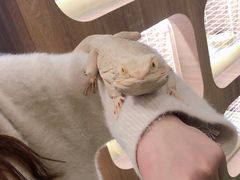 -藦茜花园宠物主题亲子互动体验馆(国顺东路店)