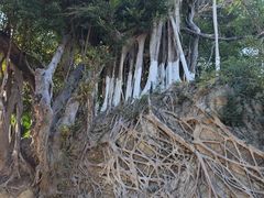 -鼓浪屿·八卦楼