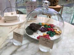 -视博茶点(美狮美高梅店)