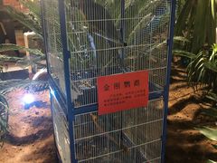 -北戴河集发农业梦想王国
