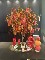 -丽妍雅集 Rubis SPA
