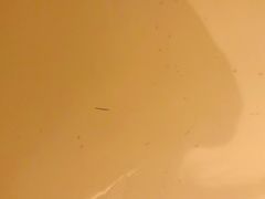 -尼依格罗香港美利酒店