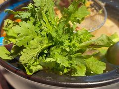 -琥珀川糟粕醋·香草鸭·鸡煲(慈云寺店)