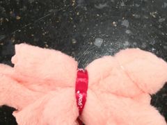 -世界之窗阿尔卑斯冰雪世界