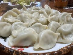 鲅鱼水饺-东来菜馆•手抓海鲜家常菜•海鲜锅贴(鸽子窝店)
