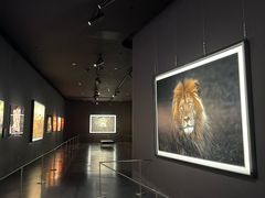 -罗红摄影艺术馆