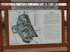-东郊湿地公园