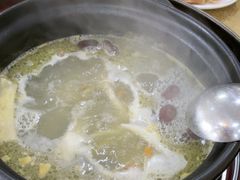 -濠轩阁特色生蚝火锅(水湾路店)