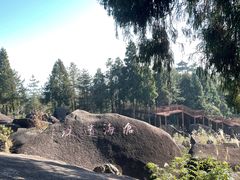 -玉苍山国家森林公园