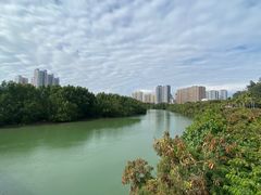 -金鸡岭桥头公园