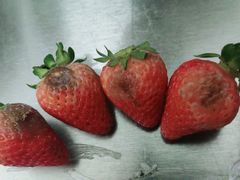 -泉州丰泽新华都百货(丰泽广场店)