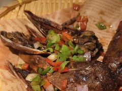 -吕记老鸭汤·徽菜馆(东营路店)
