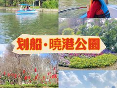 -晓港公园