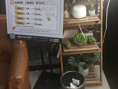 -梵猫·新养生(福州万象城店)